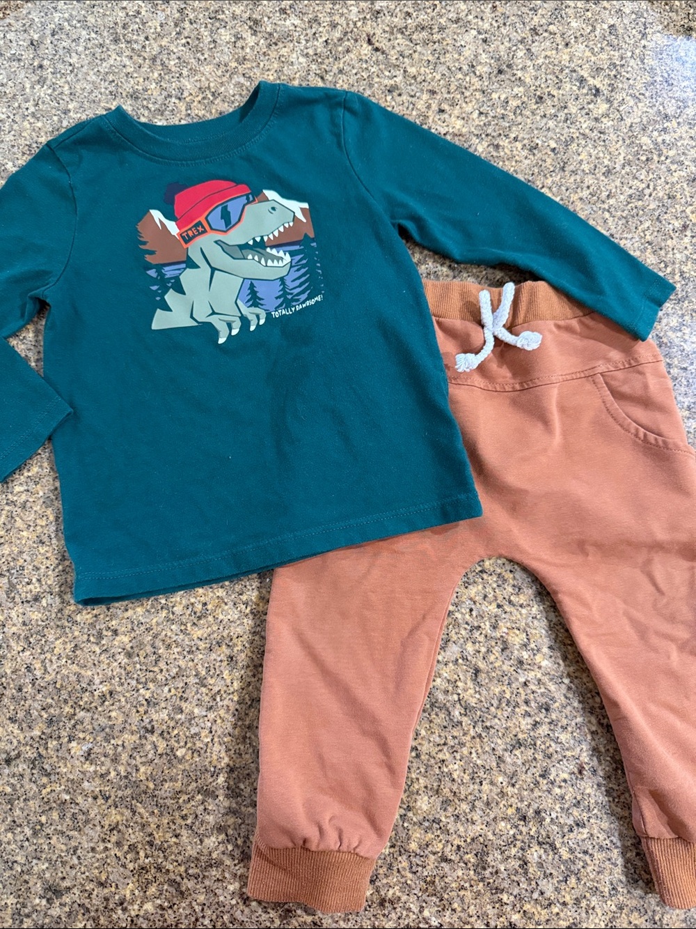 Garanimals Teal Dino Graphic Long-Sleeve Top with Rust Joggers